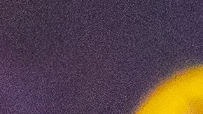 Paty Navidad es la ganadora de Top Chef VIP 3.