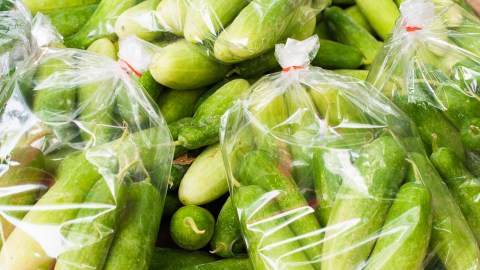 Pepinos contaminados