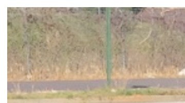 Oficiales de la policía del condado de Cobb llegaron al lugar para sacar al niño del vehículo y trasladarlo a un hospital.