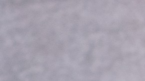 Pollo congelado retirado del mercado