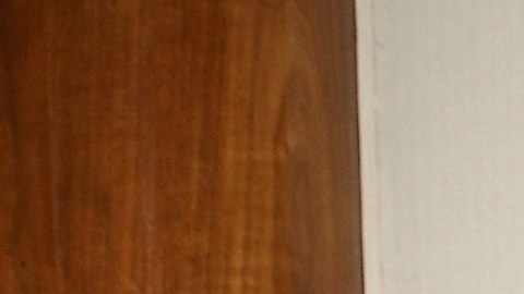 Raúl Araiza.