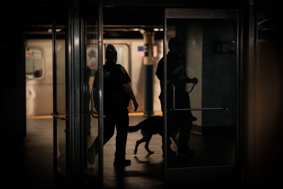 Notable reducción de los crímenes en el metro de NYC