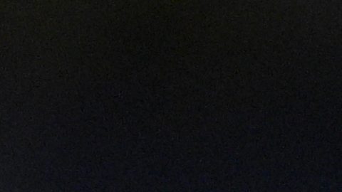 Mediocampista de Canadá, Tajon Buchanan.