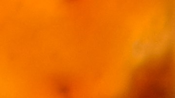 Alimentos ultraprocesados afectan la salud