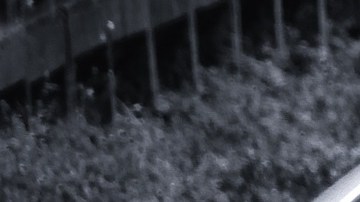 Veintinueve vagones del tren se descarrilaron cerca de Fargo en Dakota del Norte.