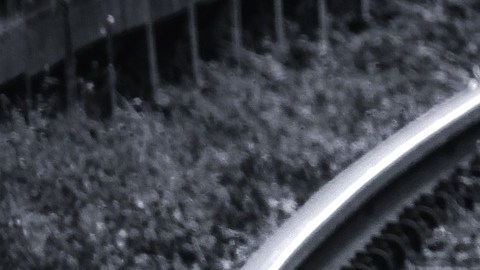 Veintinueve vagones del tren se descarrilaron cerca de Fargo en Dakota del Norte.