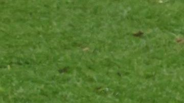 Kylian Mbappé durante el Francia vs Bélgica.