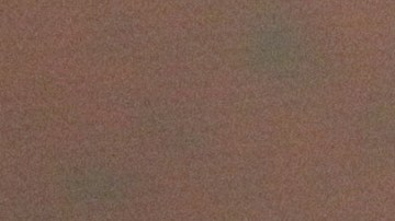 Aracely Arámbula participando en una rueda de prensa.