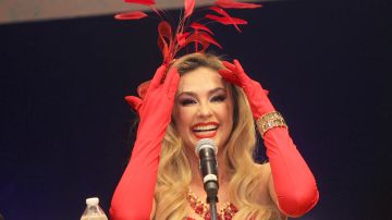 Aracely Arámbula participando en una rueda de prensa.