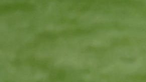 Los jugadores de la selección de Francia, Adrien Rabiot (i) y Ferland Mendy (d), durante el entrenamiento que el equipo francés ha realizado este sábado.