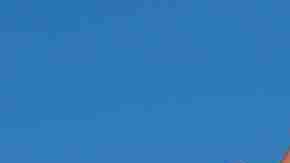 El equipo de prensa de Donald Trump asegura que el expresidente está bien de salud.