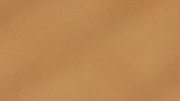 billete-loteria-carolina-del-sur-premio-200-mil-dolares