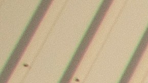 Costco presenta varias ofertas en su sitio web. Revisa si alguno de estos 24 productos te sirve.