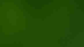 Hubo un crecimiento de casos de dengue en Nueva York y Nueva Jersey.