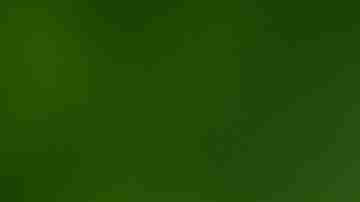 Hubo un crecimiento de casos de dengue en Nueva York y Nueva Jersey.