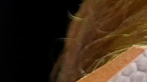 Doctor de Donald Trump da nuevos detalles de la herida que sufrió en la oreja por atentado