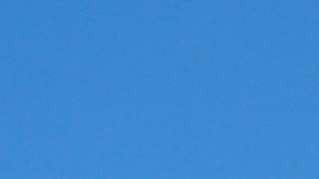 Donald Trump daba un discurso en Pensilvania cuando resultó herido