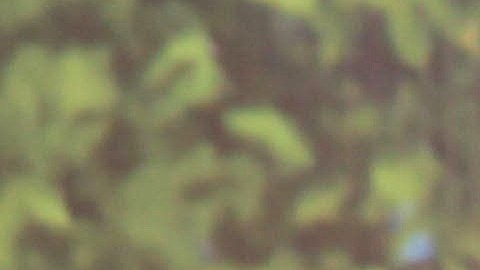 Eugenio Derbez posando.