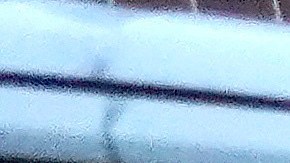 Familias inmigrantes bajan de una camioneta al llegar a un refugio, el jueves 16 de noviembre de 2023, en Quincy, Massachusetts