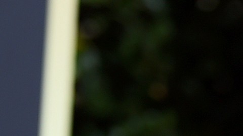 Pax es uno de los hijos adoptivos de Angelina Jolie y Brad Pitt.