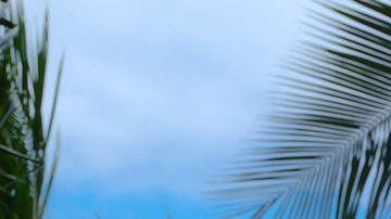 Maripily Rivera será parte de Premios Juventud en el espacio de "Noche de Estrellas".