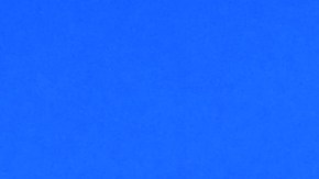 Duro discurso de Javier Milei: "Sacaremos a los socialistas a patadas"