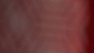 Jennifer López posando.