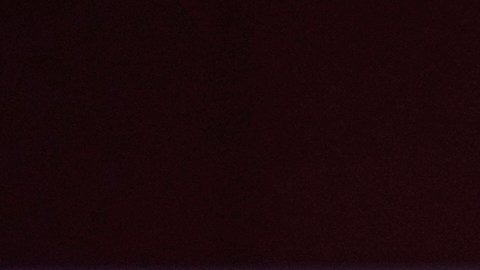 "No me voy a ir a ningún lado": Joe Biden retoma la campaña y se rehúsa a dejar la candidatura