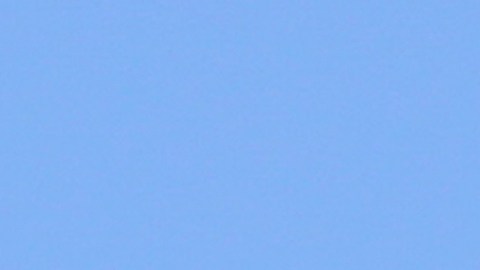 Biden dice que su candidatura atrae a multitudes luego del debate