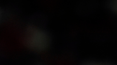 Donald Trump lanzó duro ataque a Kamala Harris, potencial candidata a la Presidencia de EE.UU.