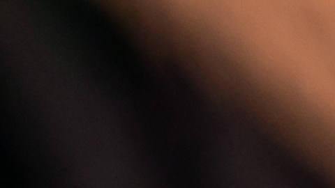 loteria-cash4life-1000-dolares-de-por-vida