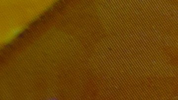 loteria-illinois-error-raspadito