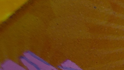 loteria-illinois-error-raspadito