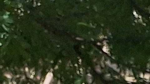 El activista Luis Nava, director de Iniciativas para los Adultos Mayores de la Comisión Latina sobre el Sida es uno de los propulsores de este llamado nacional.