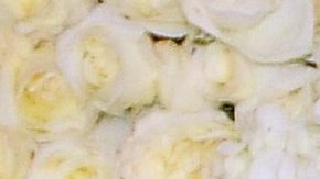 Michelle Salas posando.