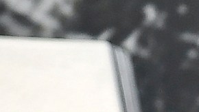 Millie Bobby Brown y Jake Bongiovi.