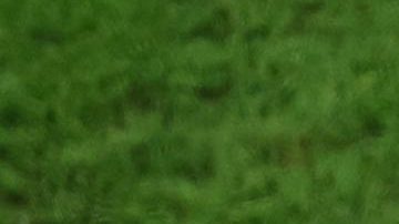 Jamal Musiala es uno de los goleadores de la Eurocopa 2024.