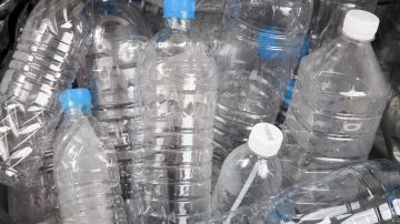 Hispano en Nueva York revela cuánto dinero gana por recoger latas y botellas de plástico