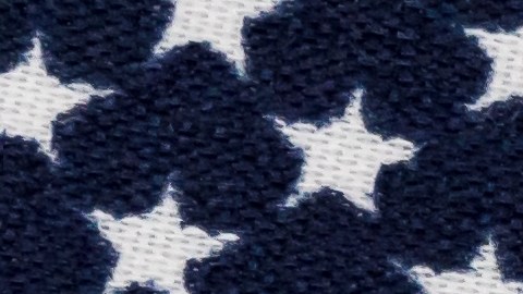 seguro-social-julio-2024-julio