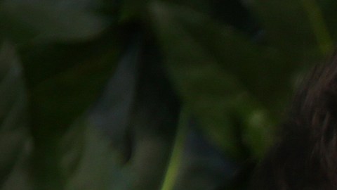 David Beckham y Victoria Beckham.