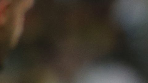 Zico durante un partido amistoso.