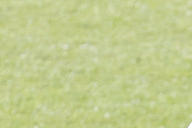 Julián Álvarez entrenando con el Atlético de Madrid.