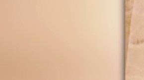 James Guidone (37) y su novia Priscilla Scarpati (36) vivían en NYC.