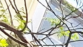 Esta empresa tradicionalmente ha estado al servicio de las comunidades hispanas en NYC.