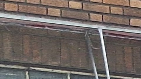 En Astoria y Jamaica los residentes se quejan de la proliferación de motocicletas en las aceras.