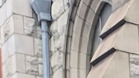 La quisqueyana quien forma parte del equipo del Centro de Desarrollo de la Mujer Dominicana, es la embajadora cultural del Desfile Nacional de su país