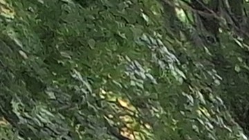 "No nos dejen solos" decían los manifestantes que denuncian un aumento de la represión en ese país.