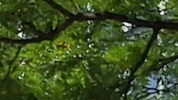 La activista boricua María Berli le preocupa la devastación ambiental y económica de la isla.