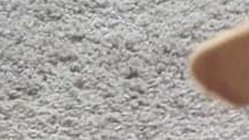 “Pup-Pup” era un chihuahua de 5 años