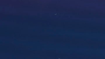 Coco Gauff devuelve la bola en un pasaje del partido de tercera ronda frente Elina Svitolina.